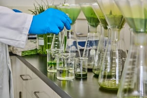 Clean Flavor (Toe)_Beakers_Extracts_pouring2 (2)